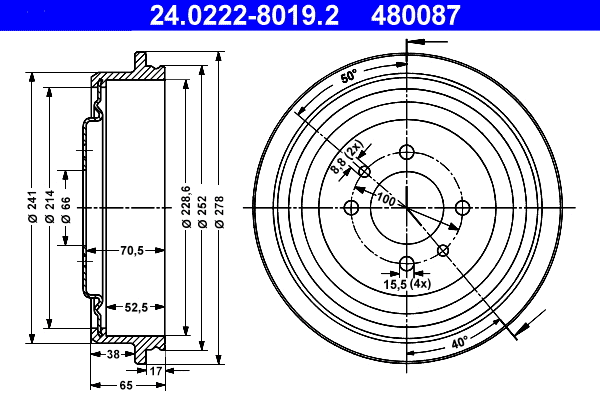 Brake Drum (24.0222-8019.2)