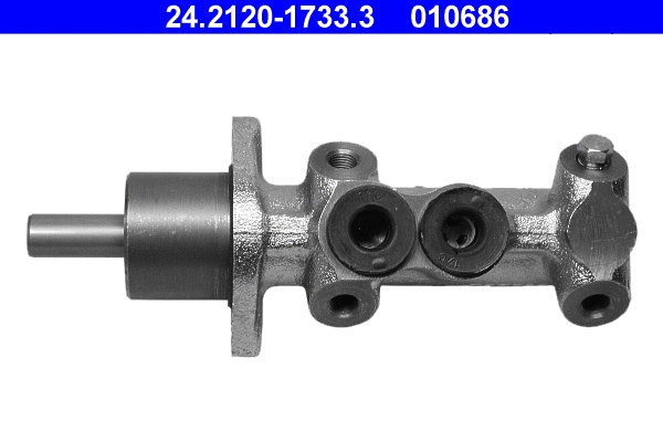 Brake Master Cylinder (24.2120-1733.3)