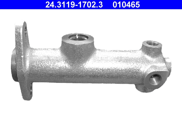 Brake Master Cylinder (24.3119-1702.3)