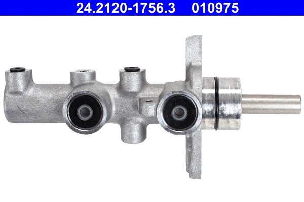Brake Master Cylinder (24.2120-1756.3)