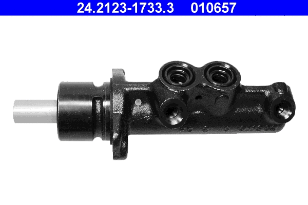 Brake Master Cylinder (24.2123-1733.3)