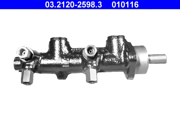 Brake Master Cylinder (03.2120-2598.3)