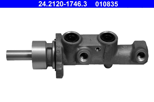 Brake Master Cylinder (24.2120-1746.3)