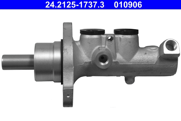 Brake Master Cylinder (24.2125-1737.3)