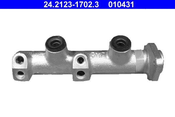 Brake Master Cylinder (24.2123-1702.3)