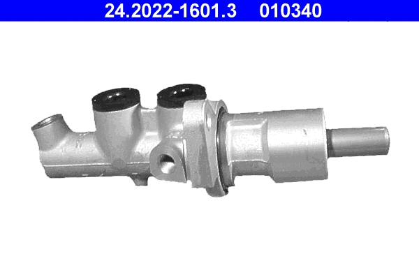 Brake Master Cylinder (24.2022-1601.3)
