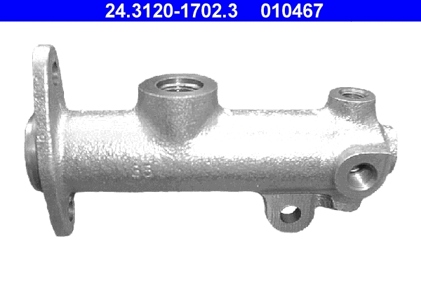 Brake Master Cylinder (24.3120-1702.3)