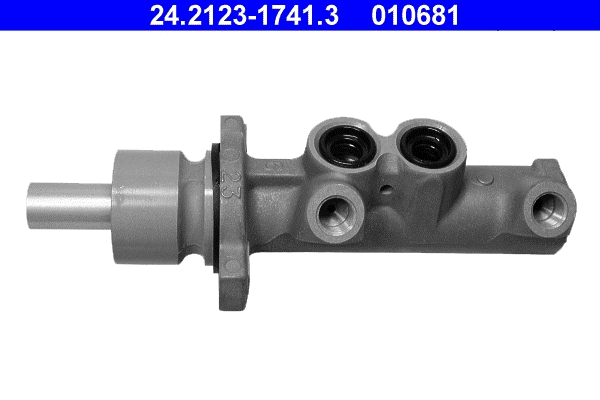 Brake Master Cylinder (24.2123-1741.3)