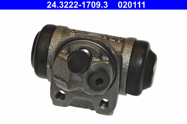 Wheel Brake Cylinder (24.3222-1709.3)