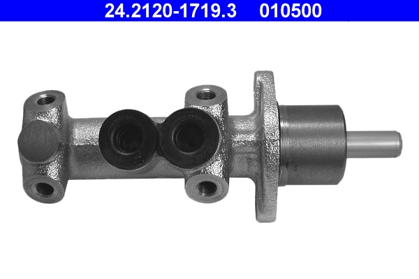 Brake Master Cylinder (24.2120-1719.3)