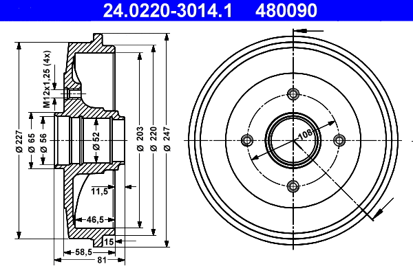 Brake Drum (24.0220-3014.1)