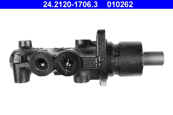 Brake Master Cylinder (24.2120-1706.3)