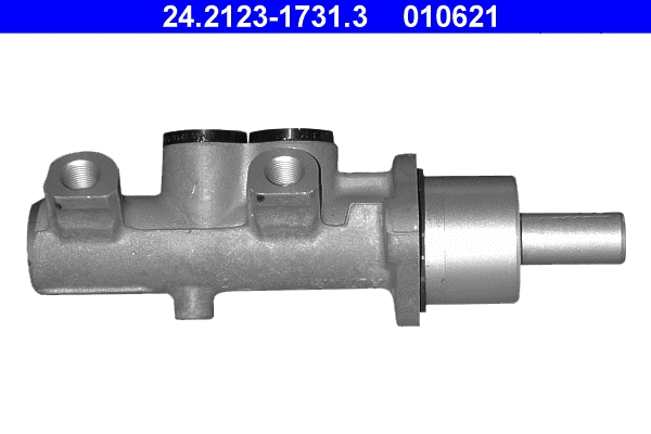 Brake Master Cylinder (24.2123-1731.3)