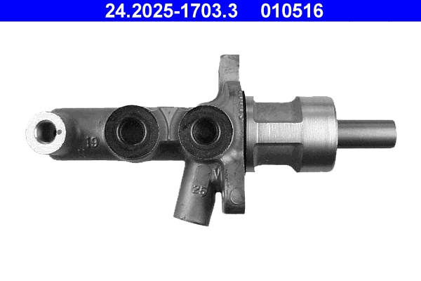 Brake Master Cylinder (24.2025-1703.3)