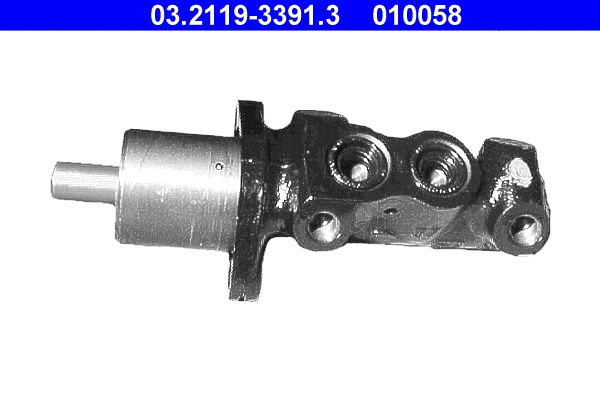 Brake Master Cylinder (03.2119-3391.3)