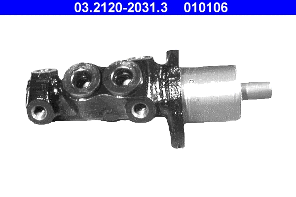 Brake Master Cylinder (03.2120-2031.3)