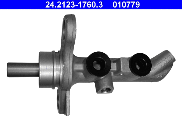 Brake Master Cylinder (24.2123-1760.3)