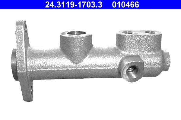 Brake Master Cylinder (24.3119-1703.3)