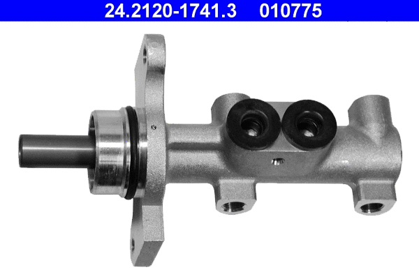 Brake Master Cylinder (24.2120-1741.3)