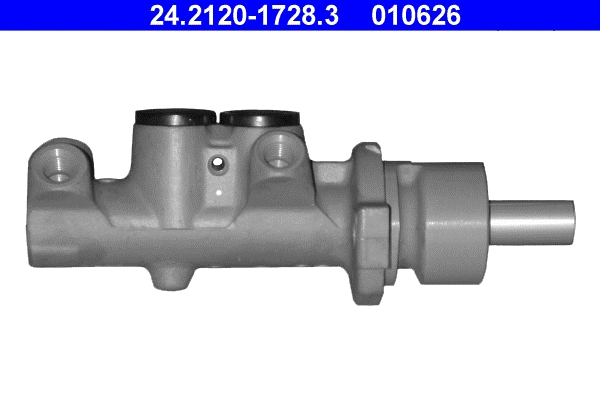Brake Master Cylinder (24.2120-1728.3)