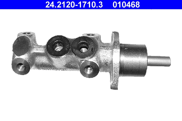 Brake Master Cylinder (24.2120-1710.3)