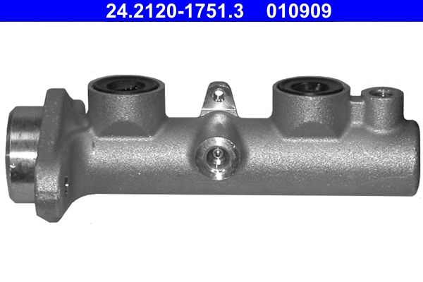 Brake Master Cylinder (24.2120-1751.3)