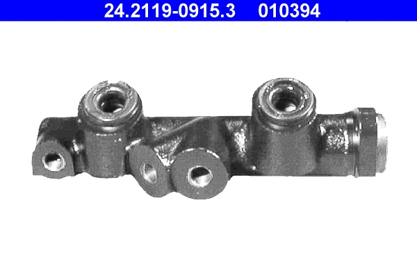Brake Master Cylinder (24.2119-0915.3)
