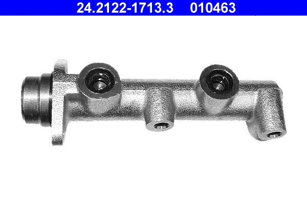 Brake Master Cylinder (24.2122-1713.3)