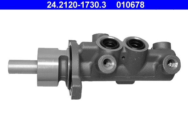Brake Master Cylinder (24.2120-1730.3)