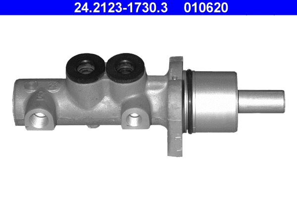 Brake Master Cylinder (24.2123-1730.3)