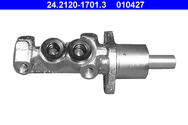 Brake Master Cylinder (24.2120-1701.3)