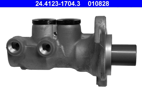 Brake Master Cylinder (24.4123-1704.3)