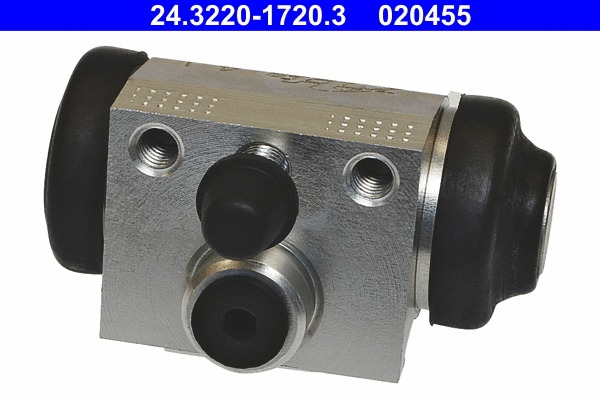 Wheel Brake Cylinder (24.3220-1720.3)