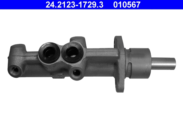 Brake Master Cylinder (24.2123-1729.3)