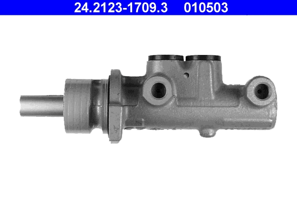 Brake Master Cylinder (24.2123-1709.3)