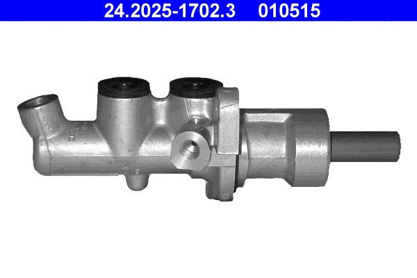 Brake Master Cylinder (24.2025-1702.3)