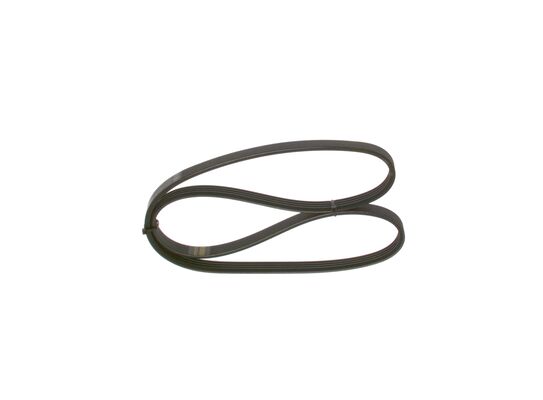 V-Ribbed Belt