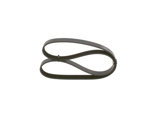 V-Ribbed Belt (1 987 947 842)