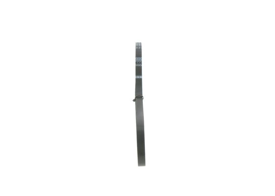 V-Ribbed Belt
