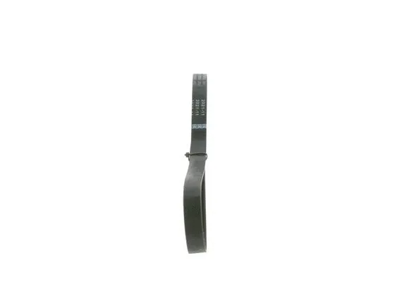 V-Ribbed Belt