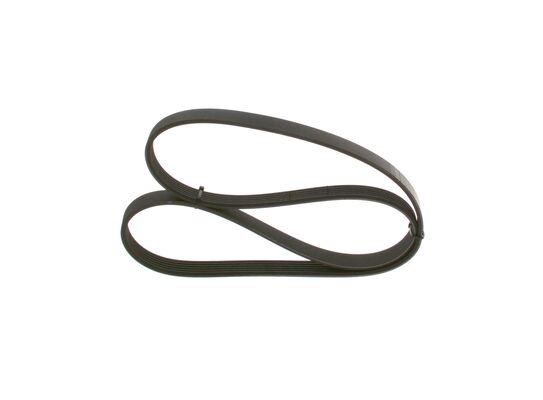 V-Ribbed Belt
