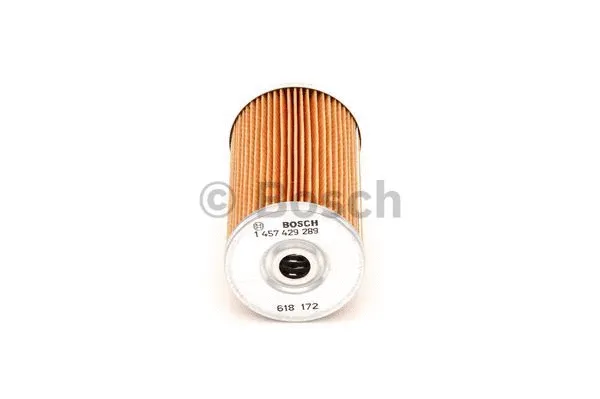 Fuel Filter (1 457 429 289)