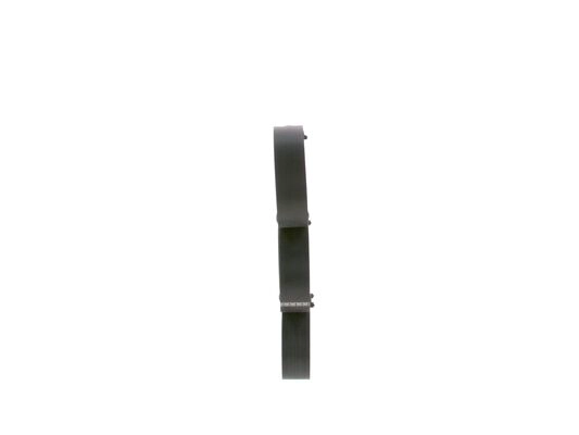 V-Ribbed Belt