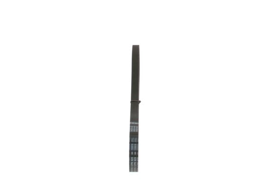 V-Ribbed Belt