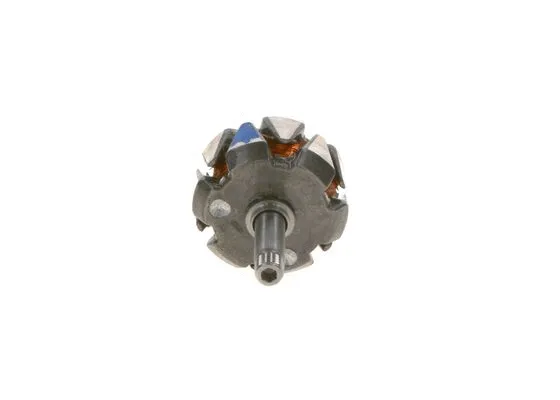 Rotor, alternator