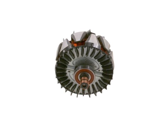 Rotor, alternator