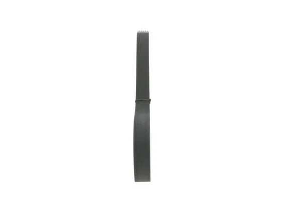 V-Ribbed Belt