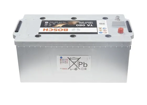Starter Battery