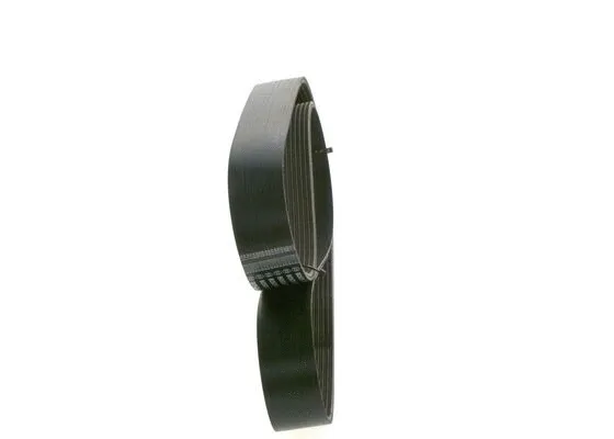 V-Ribbed Belt (1 987 945 504)
