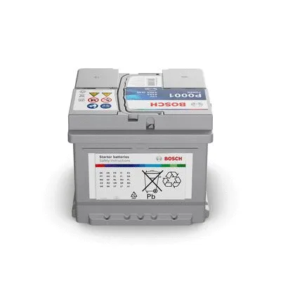 Starter Battery